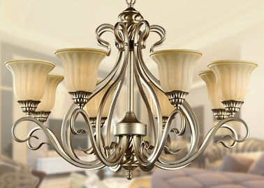 Lustre moderne/rétro adapté aux besoins du client de fer travaillé de style avec des nuances 8 800W légers