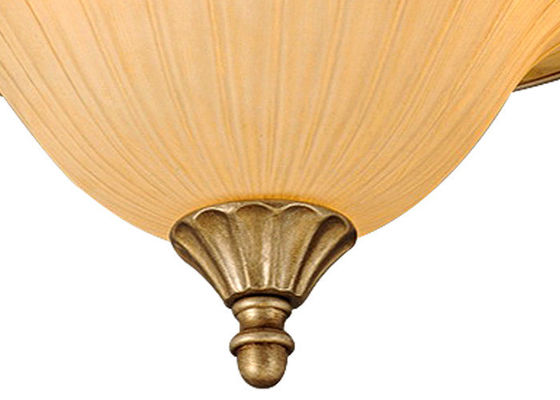 Lumière moderne européenne de luxe du lustre 9 de fer travaillé pour C.A. à la maison 110 de la décoration 900W - 240V