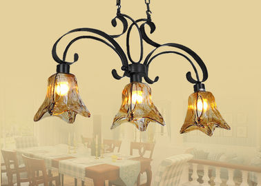 Lumière unique/rustique/rétro d'ombre de lustre en verre ambre de fer travaillé du style 3, base E27