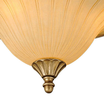 Appareil d'éclairage en verre de plafond de lustre/résine de plafond de fer travaillé