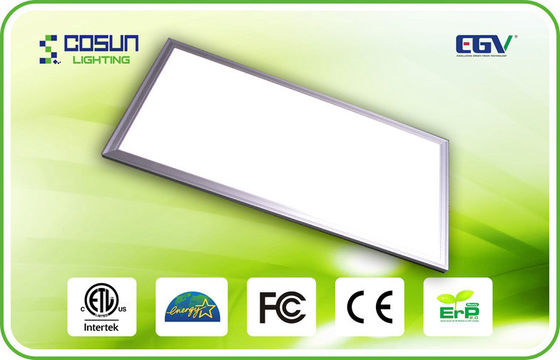 Le message publicitaire 2*4 a enfoncé les plafonniers de LED/voyant d'intérieur de LED 6000K