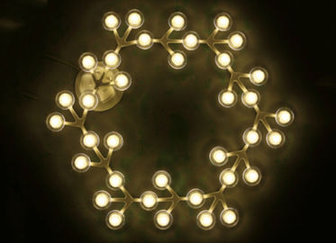 Les plafonniers accrochants de cercle de filet de LED avec la LED chauffent le blanc pour des salons