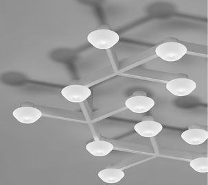 Les plafonniers accrochants de cercle de filet de LED avec la LED chauffent le blanc pour des salons